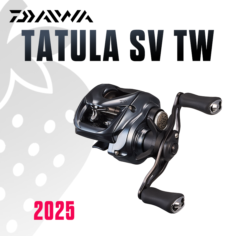 Daiwa Reel Bg - ダイワ 2025 タトゥーラ SV TW100 フィッシングリール