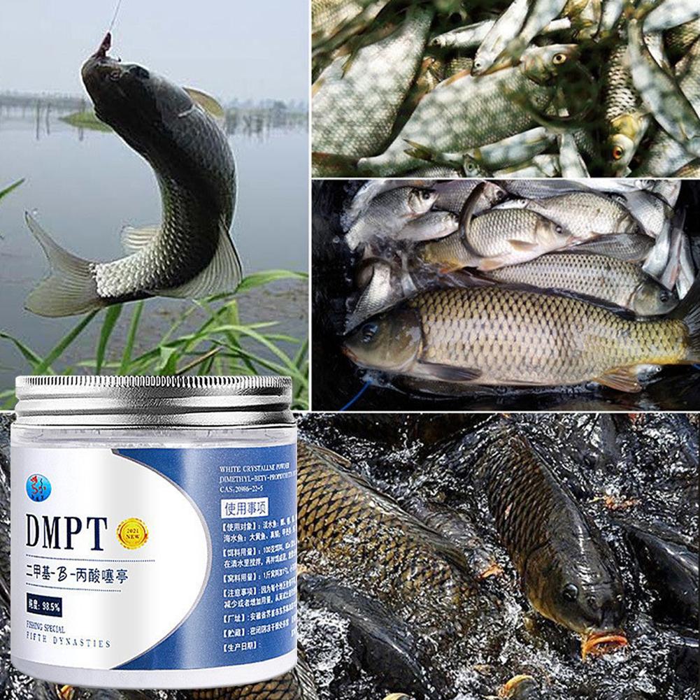 DMPT-高純度の釣り餌,魚を引き付けるためのルアー,強力な - Fishing Equipment For Sale のレビューと価格